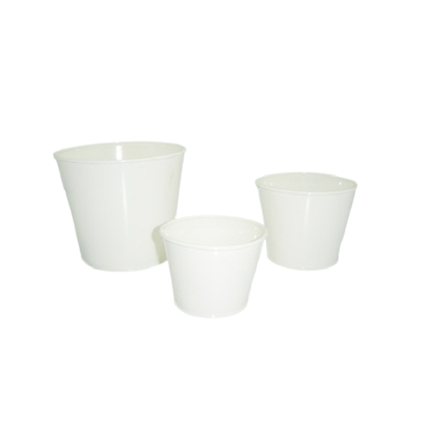 แสดงภาพ