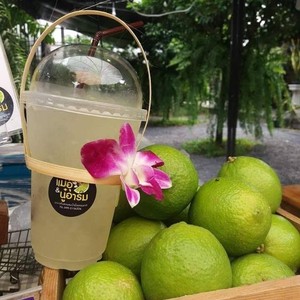 Portavasos de bambú hecho a mano con el mejor vendedor, mango de taza duradero ecológico para compradores globales y varios tamaños - Product Image 4