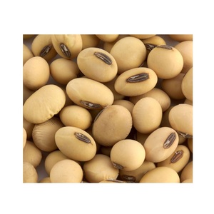 Soja canadien biologique 100 % pur et naturel / Grains de soja séchés au meilleur prix de gros - Product Image 4