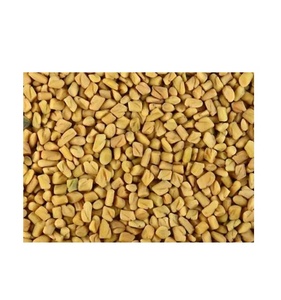 100% Pure Graines de fenugrec Supplément naturel à base de plantes pour la cuisine, l'Ayurveda, la germination et la santé - Product Image 6