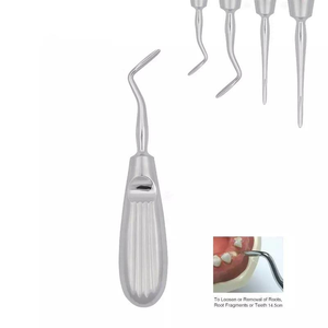 Elevadores de Raíces para Extracciones Dentales, Elevador Luxatorio de Acero Inoxidable Reutilizable, Instrumentos Quirúrgicos Manuales para Dentistas, 14.5 cm - Product Image 6