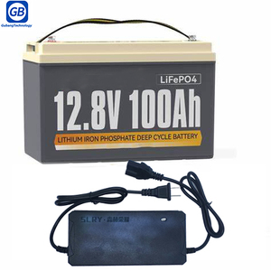 ที่ชาร์จแบตเตอรี่ลิเธียม/NMC 12V 24V ที่ชาร์จแบตเตอรี่ Lifepo4อัตโนมัติ110V 12V 12V - Product Image 5