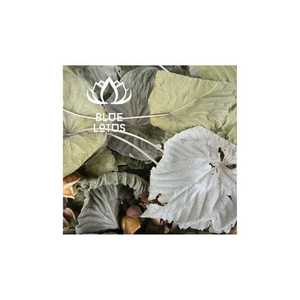 Top Choice Feuilles De Thé Feuilles De Lotus Séchées Viet Nam Faire Du Thé Application D'herbes De Cuisson Dans Les Deux Culinaires Poudre De Feuilles De Lotus Séchées - Product Image 1