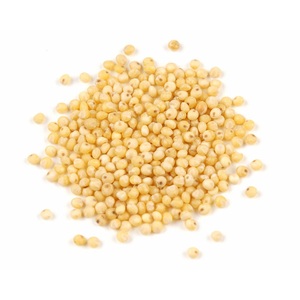 Millet jaune décortiqué biologique riche en protéines, sans gluten, pour la bouillie - Product Image 3