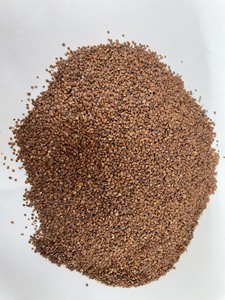 ไฮโกรฟิล่า ซาลิซิโฟเลีย จากซัพพลายเออร์เวียดนามสำหรับการส่งออกจำนวนมาก - Product Image 5