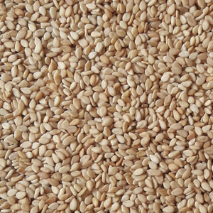 เมล็ดงาธรรมชาติเกรดอาหารเมล็ดงาแบบพรีเมี่ยมสำหรับปลูกในฟาร์ม2025 - Product Image 4