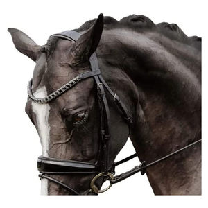 Correa inteligente para bicicleta, accesorio deportivo resistente al desgaste - Product Image 1