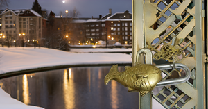 Beautiful Mini Brass Fish Monastery Lock Durable and Waterproof with Two Keys Natural Patina Ornate Design - Product Image 5