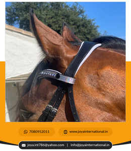 Bridas de doma suave con acabado hermoso Brida de snaffle de brezo de primera edición de alta calidad directamente del fabricante - Product Image 6