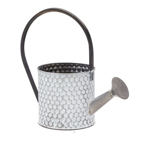 บัวรดน้ำเหล็กไร้สนิมอุปกรณ์ตกแต่งสวนสีเขียวชุบสังกะสีออกแบบได้ตามต้องการ - Product Image 5