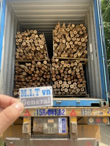 Piquets en bois de haute qualité à prix d'usine avec une extrémité pointue – Meilleure vente de piquets de jardin en bois à prix abordable pour l'aménagement paysager - Product Image 6