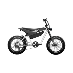 Bicicleta Eléctrica BEST BUY C5 Ultra 2025, Gran Oferta, Neumáticos Anchos 20*4.0, Todoterreno, para Nieve, Montaña y Ciudad - Product Image 3