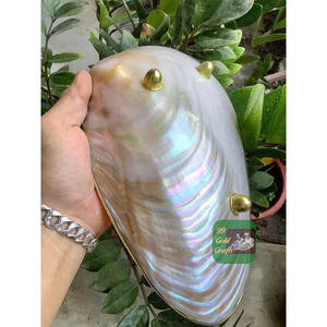 Plato y Cuchara Redondos Hechos a Mano de Nácar para Uso Multipropósito, Cuchara y Plato Redondos de Nácar para Comer - Product Image 4