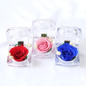 Valentinstag Geschenk konservierte frische Blume Ring Box mit natürlichen echten einzelnen Ewigen Rose