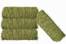 Heno de Alfalfa de Primera Calidad para Caballos, Ganado y Cerdos, Empaquetado en Pacas, 24 Meses de Duración - Product Image 3