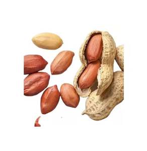 Vente en gros de cacahuètes blanchies grillées biologiques naturelles de qualité supérieure arachides blanchies en vrac arachides de tri fendues noix et amandes - Product Image 4