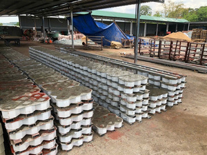 แม่พิมพ์พลาสติก PP จากโรงงาน BAVIGO สำหรับหล่อแผ่นปูหญ้าคอนกรีต 8 รู - Product Image 2