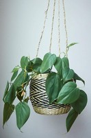 Keranjang Pot Bunga Gantung Buatan Tangan Modern dari Rotan Seagrass Ramah Lingkungan untuk Penyimpanan Dapur Kamar Mandi Dekorasi Rumah dan Taman