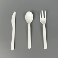 Nouveaux couverts écologiques compostables CPLA couteau fourchette cuillère ensemble pour la restauration