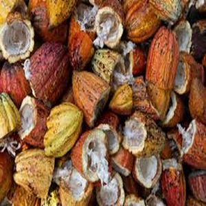 Cáscara de Cacao Cruda Nacional, Producto de Alimentación Animal - Product Image 1