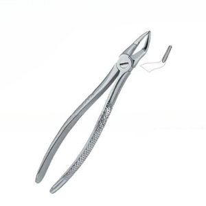 Produits de logo personnalisé de haute qualité Forceps d'extraction de dents dentaires Fig.51 S Instruments dentaires en acier inoxydable - Product Image 1