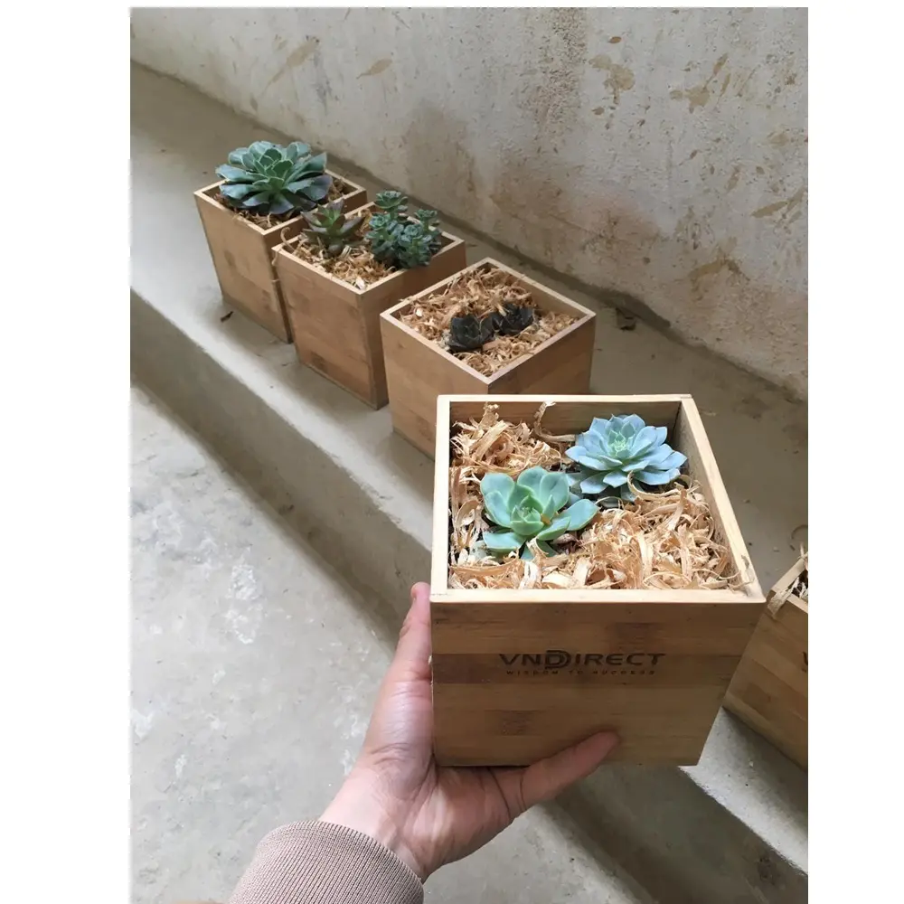 Suministros de jardín para el hogar Diseño clásico Tamaño personalizado Macetas duraderas Macetas de madera para plantas Hecho en Vietnam