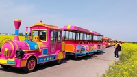 Train électrique miniature sans rails pour enfants, équipement de divertissement personnalisé pour centre commercial et parc d'attractions, 24 places, à vendre