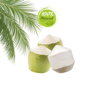 Les avantages uniques de la noix de coco pelée au diamant pour la santé et l'hydratation - Product Image 3