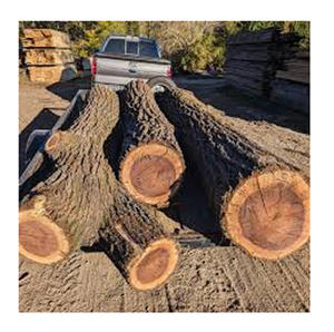 Troncos de Nogal al por Mayor, Especie Juglans Nigra, Provenientes de Bosques Sostenibles de EE. UU., Longitudes de 8 a 16 Pies, Secados en Horno hasta un 12% de Humedad - Product Image 4