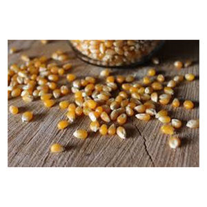 Semillas de Maíz para Palomitas de Maíz Amarillas de Calidad Pura, Precio al por Mayor - Product Image 4