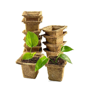 Tazas de coco de tamaño personalizado - Product Image 1