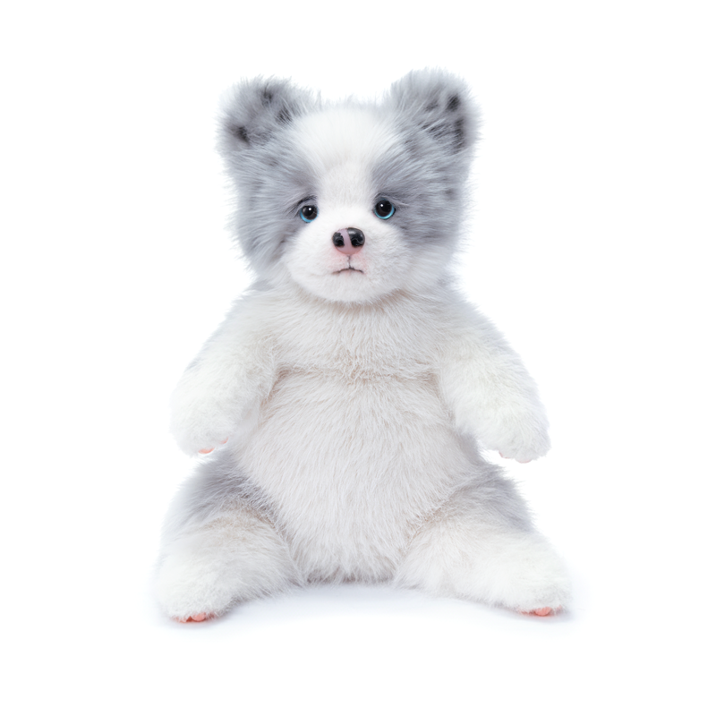 Collie de bordure de météorite de style poupée grise