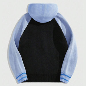 Sweat à capuche personnalisé pour hommes Sweats à capuche d'équipe personnalisés pour les vêtements de travail Collèges Broderie Strass Accent Expédition mondiale rapide - Product Image 2