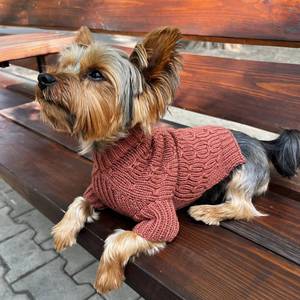 Pull en laine tricoté pour chien de luxe marron Rozy Vêtements élégants pour animaux de compagnie pour l'hiver, le printemps, Noël, les loisirs modernes Cadeau pour animaux de compagnie - Product Image 2