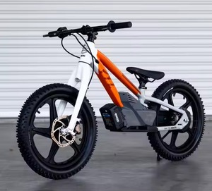 Vélo Électrique H D EBike 18E de Haute Qualité, Nouveauté 2025, Éditions Adventure Tour - PRÊT À EXPÉDIER - Product Image 1