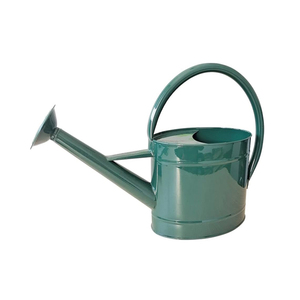 Arrosoir galvanisé Arrosoir décoratif de style fermier Arrosoir parfait pour l'intérieur et l'extérieur Arrosoir à la mode - Product Image 6