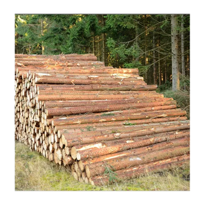 Troncos redondos de madera de abeto descortezado: material de madera de grado natural ecológico de alta calidad/suministro de muebles de 1000 toneladas - Product Image 5