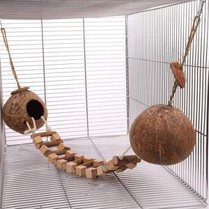 Coquille de noix de coco suspendue à l'extérieur 100% naturelle, maison d'oiseau écologique faite à la main, prix bon marché, prête à être expédiée - Product Image 6