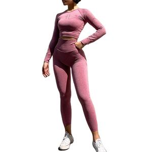 Traje deportivo para mujer, conjunto de gimnasio, ropa deportiva, traje de Fitness, ropa de Yoga, conjuntos de Sujetador deportivo de 2 piezas - Product Image 1