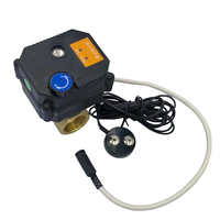 Prix du fabricant pour maison intelligente détecteur de fuite d'eau portable dispositif d'alarme avec vanne à bille électrique arrêt automatique des fuites