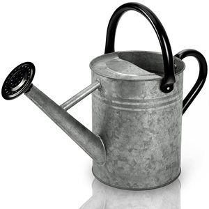Arrosoir décoratif en métal galvanisé HOSLEY, vase rustique en étain, style ferme, laiton - Product Image 1