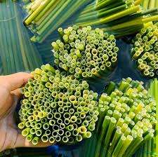 Biodegradable Straws Eco Friendly Grass Straws Pasta <b>Drinking</b> Biodegradable Disposable Straws 100% Natural - Product Image 6