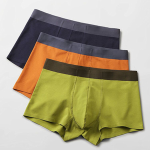 Classic <b>Men's</b> Boxer <b>Brief</b> <b>Underwear</b> Spandex Cotton Anti-Bacterial Breathable Eco-Friendly Seamless Quick Dry High Elasticity - Product Image 3