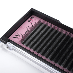 Belleza de alta calidad más pestañas 5d-w aspecto natural mega volumen ventiladores prefabricados varios espesores suministros de extensión de pestañas personalizar - Product Image 5