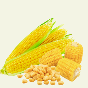 Maïs sucré pur congelé/naturellement sucré/Sans conservateur/Favorise l'immunité - Product Image 3