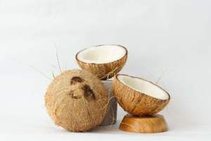 Coco seco semidescascarillado para procesamiento y exportación de alimentos - Product Image 2