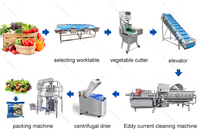 Lonkia Automatische Plantaardige Productielijn Salade Groente Verwerkingslijn Salade Wasmachine