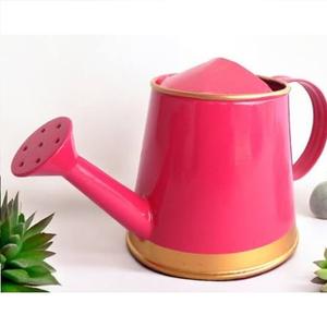 Top Quality Newest Design <b>Garden</b> Watering Can Home Use New Traditional Style Antique Finishing Water Storage Can Hot Selling - Product Image 4