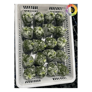 Cubes de tapioca surgelés, tapioca naturel surgelé, racine de manioc surgelée, vente en gros de manioc frais surgelé IQF, origine Vietnam - Product Image 3