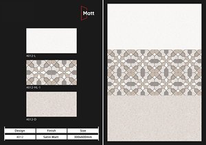 Carreau de mur en céramique antidérapant mat de 300x600mm Carreaux de sol extérieurs en porcelaine - Product Image 2